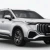 OKAVANGO PREMIUM 2026